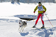 p-f.ch_120205_1157_5083_1D