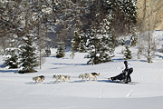 p-f.ch_120205_1158_5107_1D