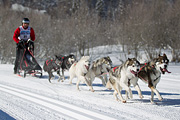 p-f.ch_120205_1200_5129_1D