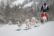 p-f.ch_120205_1201_5133_1D