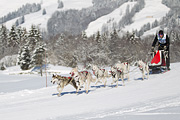 p-f.ch_120205_1201_5137_1D