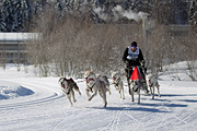 p-f.ch_120205_1202_5144_1D