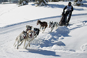 p-f.ch_120205_1204_5152_1D