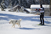 p-f.ch_120205_1204_5164_1D
