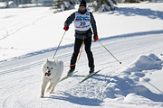 p-f.ch_120205_1204_5177_1D