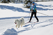 p-f.ch_120205_1205_5181_1D