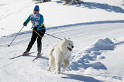 p-f.ch_120205_1205_5188_1D