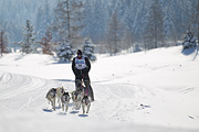p-f.ch_120205_1208_5209_1D