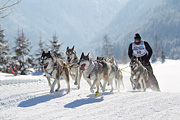 p-f.ch_120205_1209_5224_1D