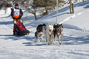 p-f.ch_120205_1209_5234_1D