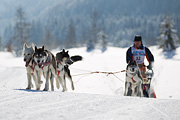 p-f.ch_120205_1211_5254_1D
