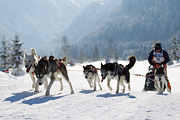 p-f.ch_120205_1211_5265_1D