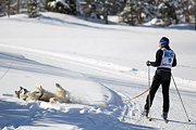 p-f.ch_120205_1213_5283_1D