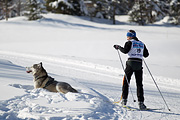 p-f.ch_120205_1213_5303_1D