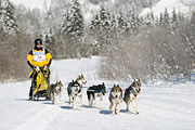 p-f.ch_120205_1216_5313_1D