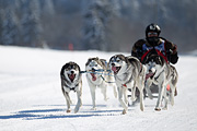 p-f.ch_120205_1235_5355_1D