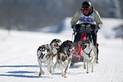 p-f.ch_120205_1237_5369_1D
