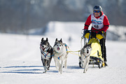 p-f.ch_120205_1255_5498_1D