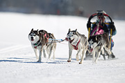 p-f.ch_120205_1259_5522_1D
