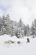 p-f.ch_130113_1128_8053_1D