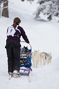 p-f.ch_130113_1138_8103_1D