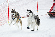 p-f.ch_130113_1159_8277_1D