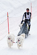 p-f.ch_130113_1218_8496_1D
