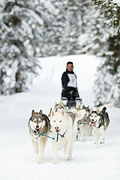 p-f.ch_130113_1239_8688_1D