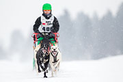 p-f.ch_130223_1527_0741_1D
