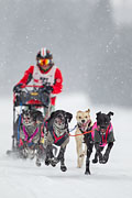 p-f.ch_130223_1537_0936_1D