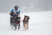 p-f.ch_130223_1538_0940_1D