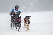 p-f.ch_130223_1538_0941_1D