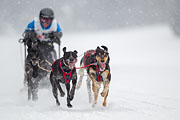 p-f.ch_130223_1538_0948_1D
