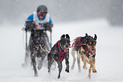 p-f.ch_130223_1538_0952_1D
