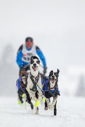 p-f.ch_130223_1543_0968_1D