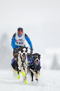 p-f.ch_130223_1543_0969_1D