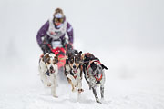 p-f.ch_130223_1546_0979_1D