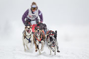 p-f.ch_130223_1546_0981_1D