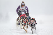 p-f.ch_130223_1546_0982_1D