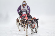 p-f.ch_130223_1546_0983_1D