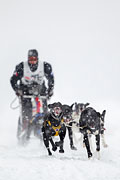 p-f.ch_130223_1550_1009_1D