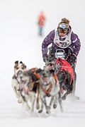 p-f.ch_130223_1606_1180_1D