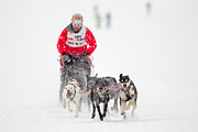 p-f.ch_130223_1606_1188_1D