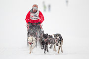 p-f.ch_130223_1606_1190_1D