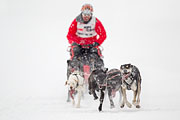 p-f.ch_130223_1606_1194_1D