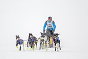p-f.ch_130223_1609_1209_1D