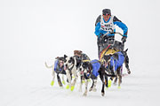 p-f.ch_130223_1609_1217_1D