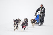 p-f.ch_130223_1609_1245_1D