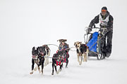 p-f.ch_130223_1609_1250_1D