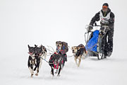 p-f.ch_130223_1609_1253_1D